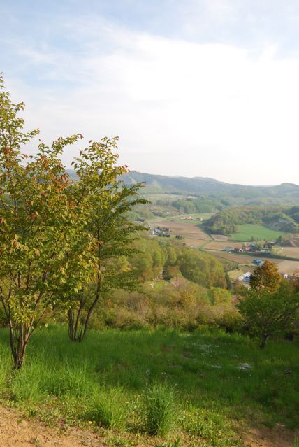 a0057237_1750256.jpg