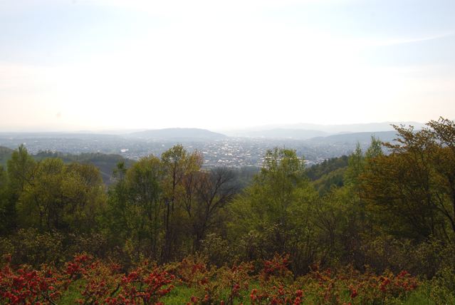 a0057237_1750444.jpg