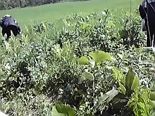 山菜採り_e0145441_2329100.jpg