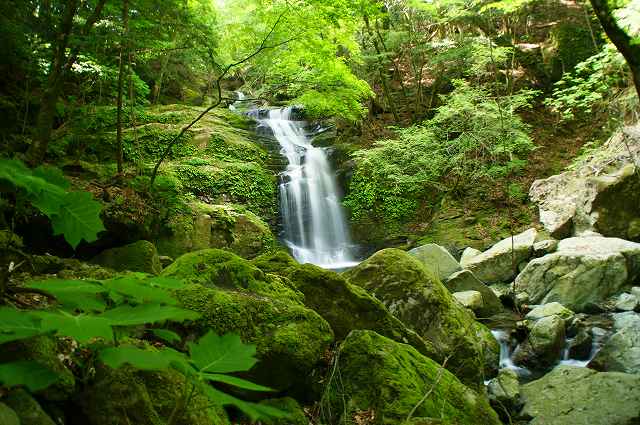 「祖母山」（２）　_f0201348_15363237.jpg