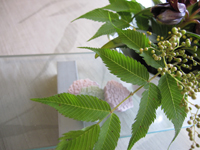 お茶を楽しむ簡単和菓子_d0139350_19303634.jpg