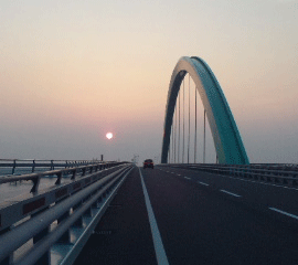 f0229250_17363780.gif