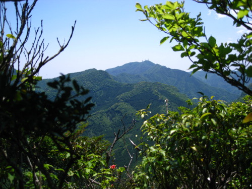 c0179351_1817548.jpg