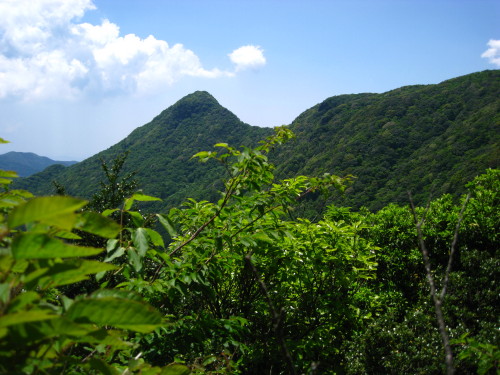 c0179351_18182878.jpg