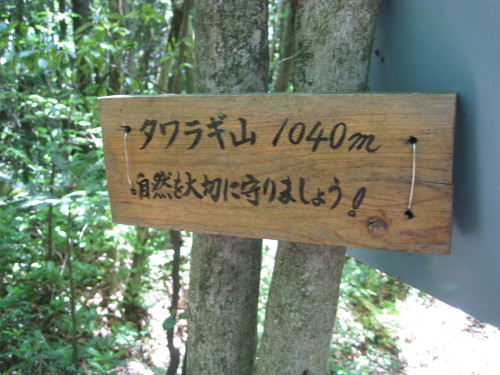 c0179351_1862943.jpg