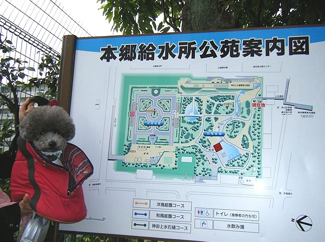 e0129656_23142194.jpg