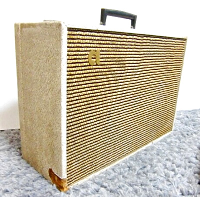 Ace Tone Canary S-2_e0045459_11512211.jpg