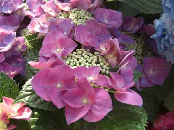a0053063_2322025.jpg