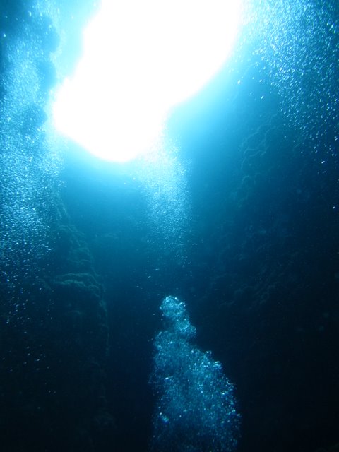 f0238563_12573822.jpg