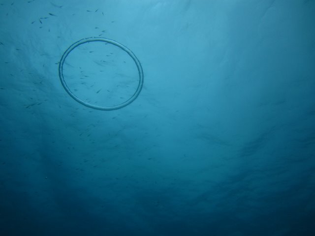 f0238563_12575327.jpg