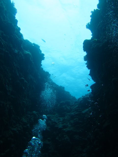 f0238563_12585069.jpg