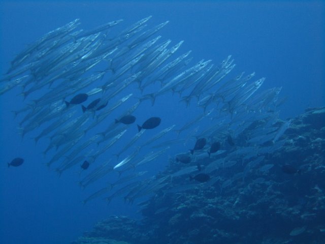 f0238563_1259252.jpg
