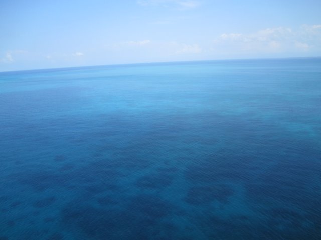 f0238563_1395527.jpg