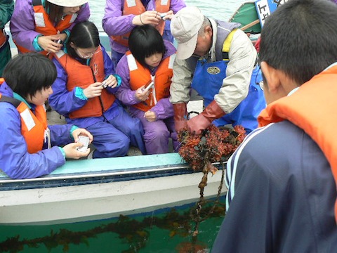 b0068572_12293316.jpg