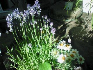 f0144773_05436.jpg