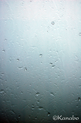 a0168980_1147918.jpg
