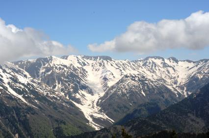 d0139881_22161849.jpg