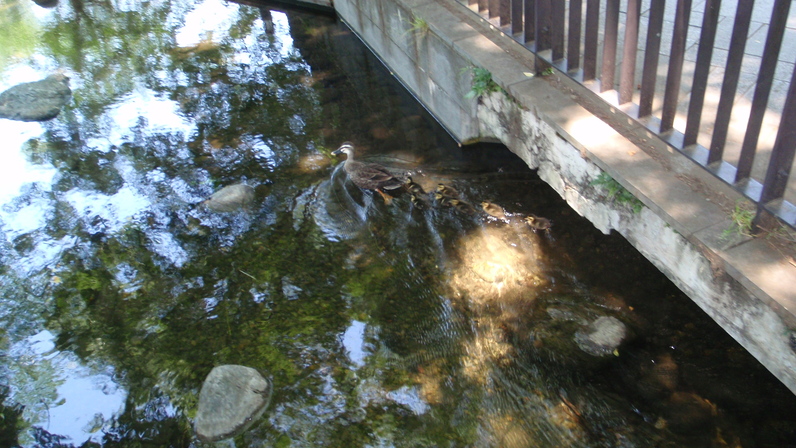 d0034291_20484832.jpg