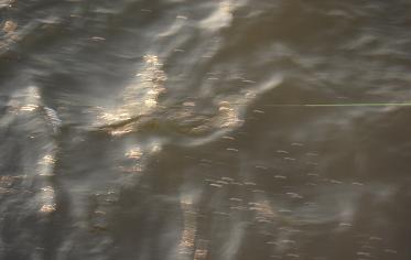 e0147297_2384046.jpg