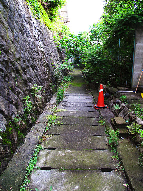 c0163001_22575897.jpg