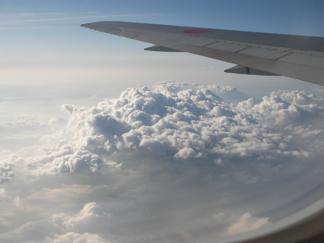 d0004301_1413441.jpg
