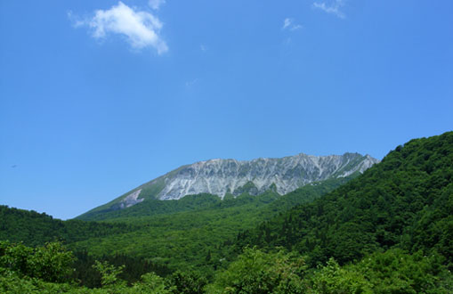 d0090101_8365646.jpg