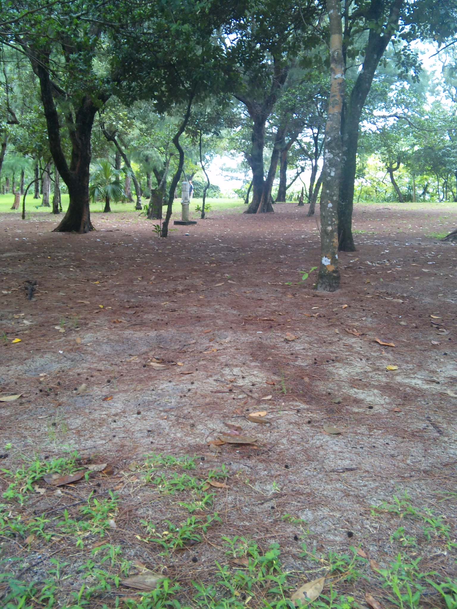 e0095502_20425231.jpg