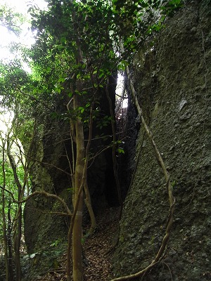 f0187402_18355573.jpg