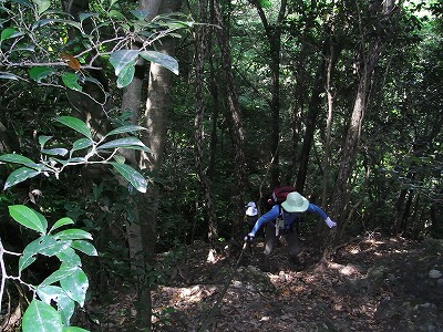 f0187402_18361144.jpg