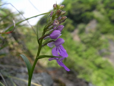 f0187402_1836274.jpg