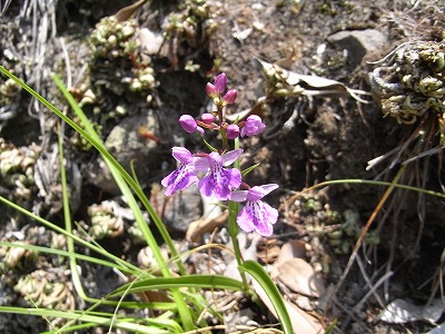 f0187402_18363474.jpg