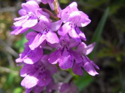 f0187402_18364096.jpg