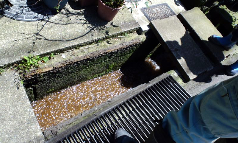 d0093903_22185949.jpg