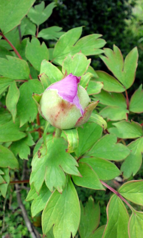 d0093903_22435297.jpg