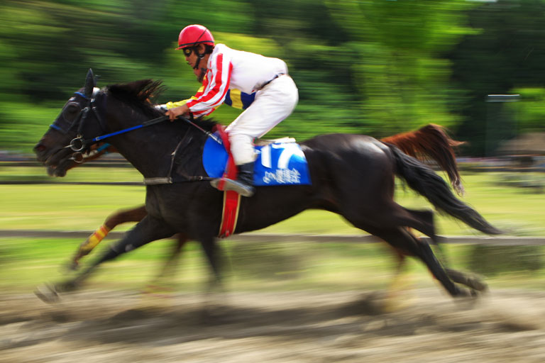 猛暑でも白熱！いなべ草競馬その１_d0113707_9551475.jpg