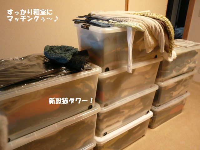 e0094407_0314575.jpg