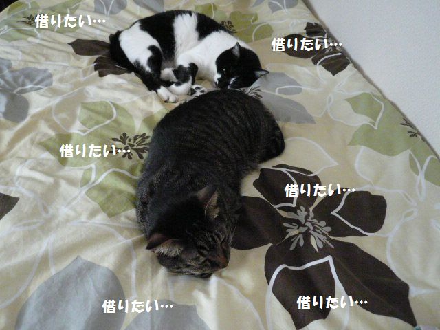 e0094407_0534649.jpg