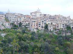 a0136808_1255286.jpg