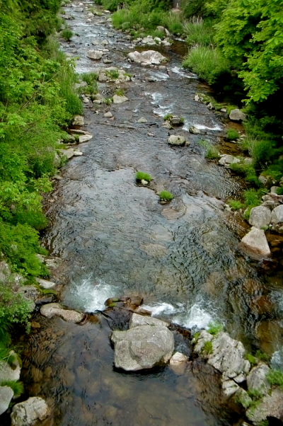 e0174008_21243125.jpg