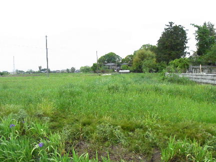 道祖土氏屋敷 そこに城があるから 道祖土氏屋敷 そこに城があるから