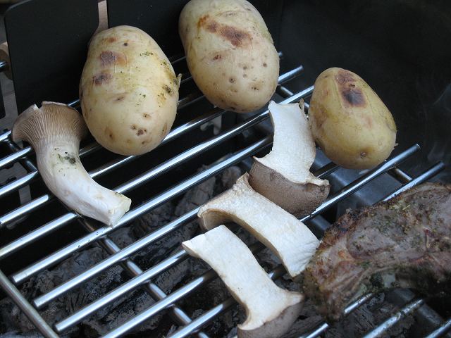 c0167813_1716272.jpg