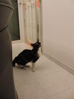 c0201113_20552857.jpg