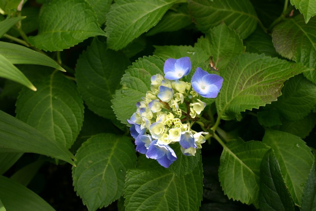 b0145314_11525765.jpg