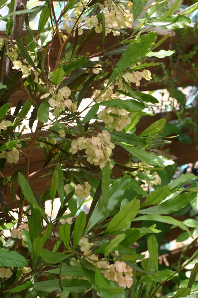 b0145314_11534830.jpg