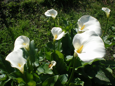 c0124619_431669.jpg