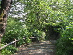 b0147224_19243711.jpg