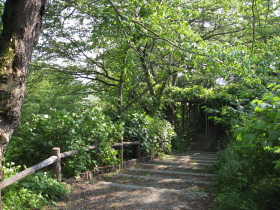 藤：東公園（黒石市）*2010.06.06_b0147224_19243711.jpg