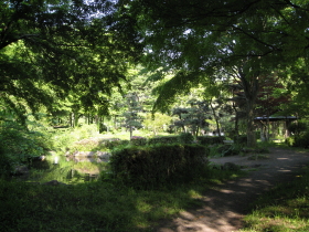 藤：東公園（黒石市）*2010.06.06_b0147224_1927953.jpg