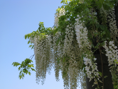 b0147224_19333596.jpg