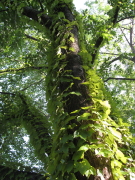 b0147224_19382364.jpg
